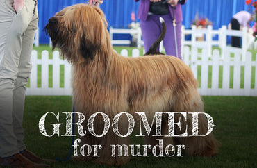 Spotlight On: Groomed for Murder